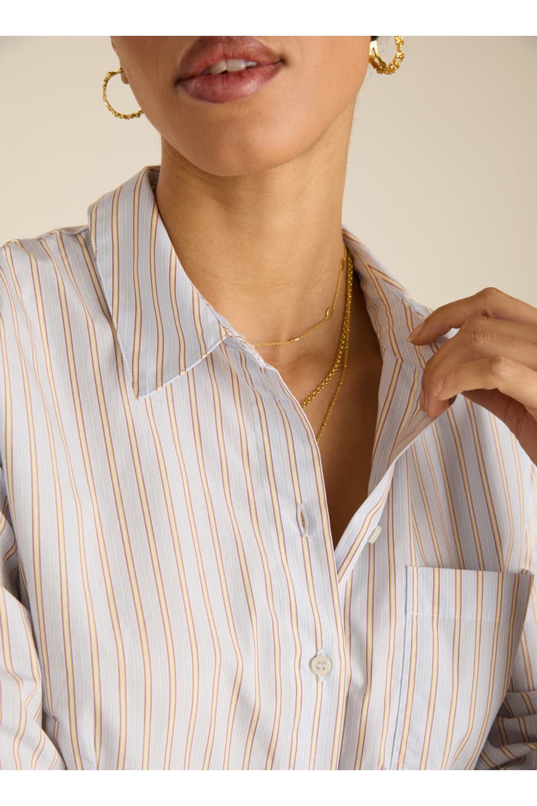 Nicola Cotton Stripe Shirt, Alternate, color, Blue, Brown & White Stripe