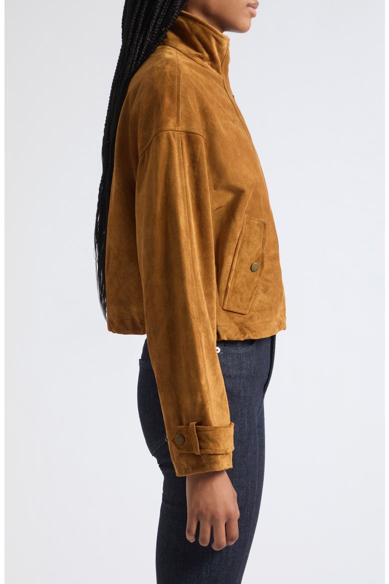 Bateman Suede Jacket, Alternate, color, ACORN