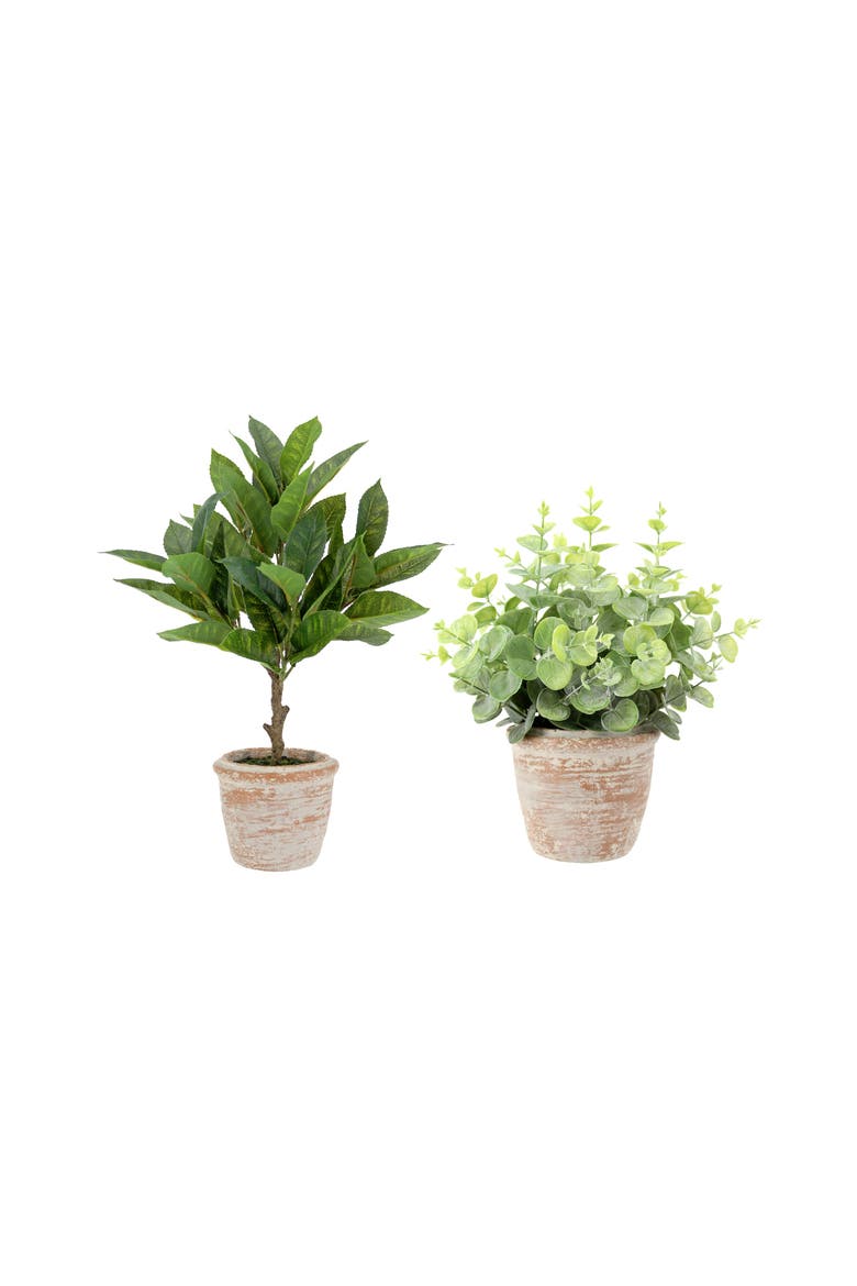 10" Eucalyptus and 16" Citrus Faux Topiary Set, Main, color, Green