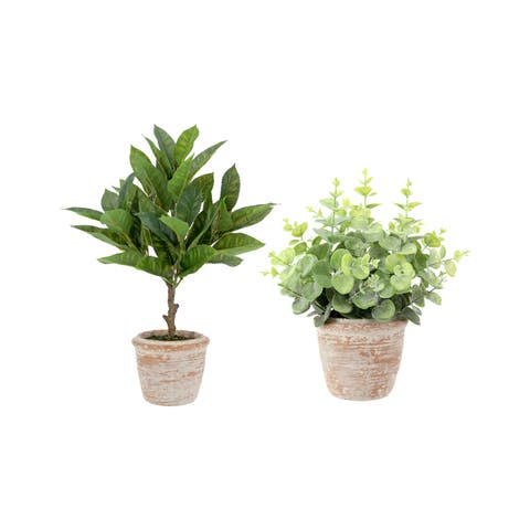 10" Eucalyptus and 16" Citrus Faux Topiary Set