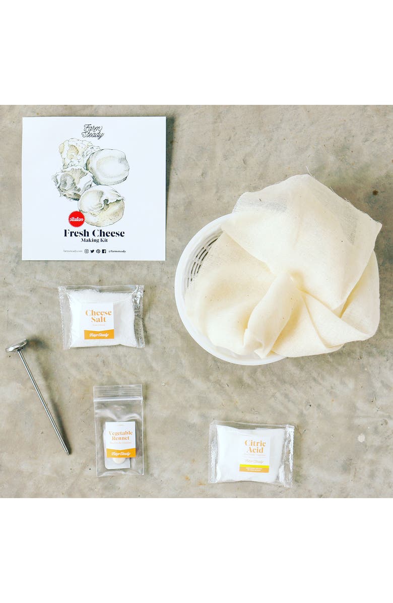 Brooklyn Brew Shop FarmSteady Fresh Cheese Making Kit, Alternate, color, Red