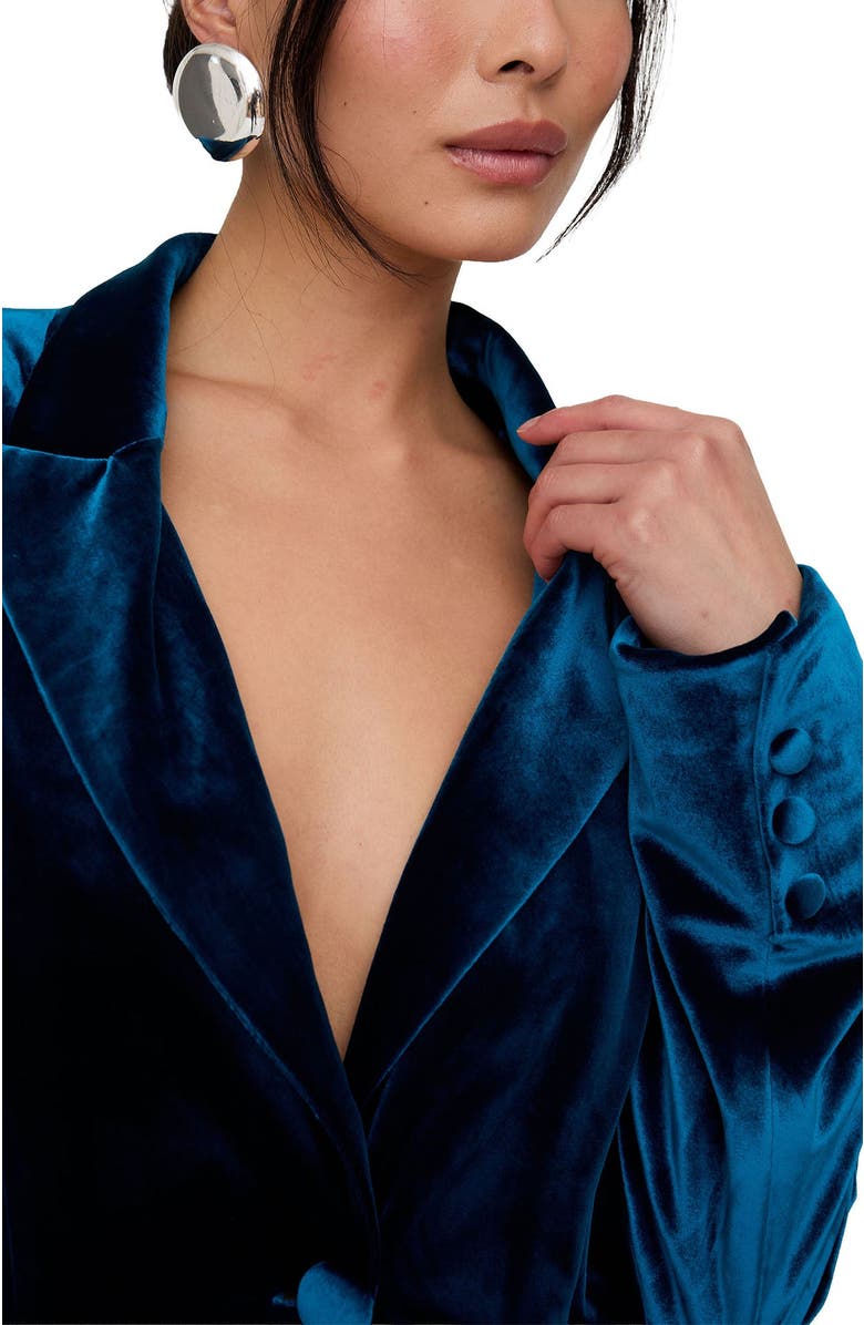 Lily and Lionel London Valerie Tailored Velvet Blazer, Alternate, color, Teal