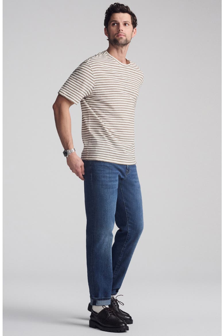 Stripe Cotton & Linen T-Shirt, Alternate, color, BRINDLE