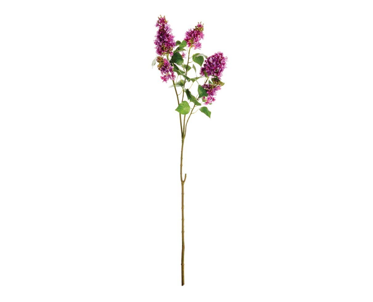 selected Purple
