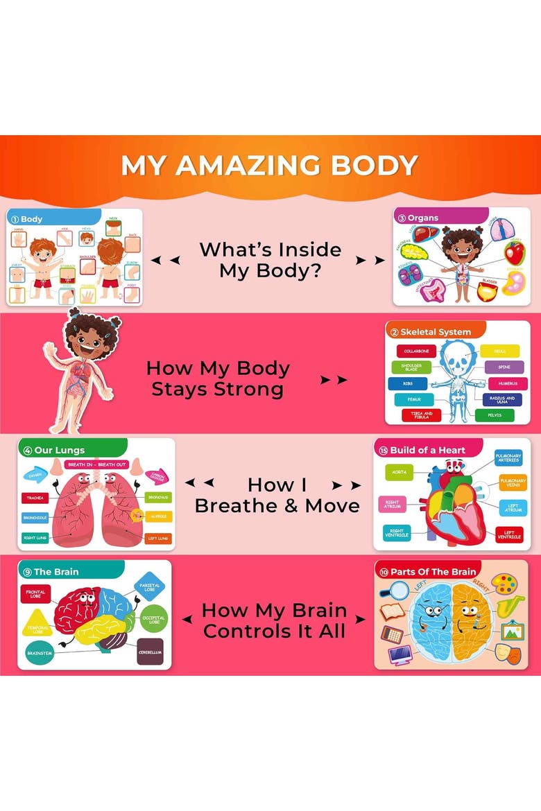 Montessori Busy Book for Toddlers - Interactive Educational Toys, Alternate, color, Our body