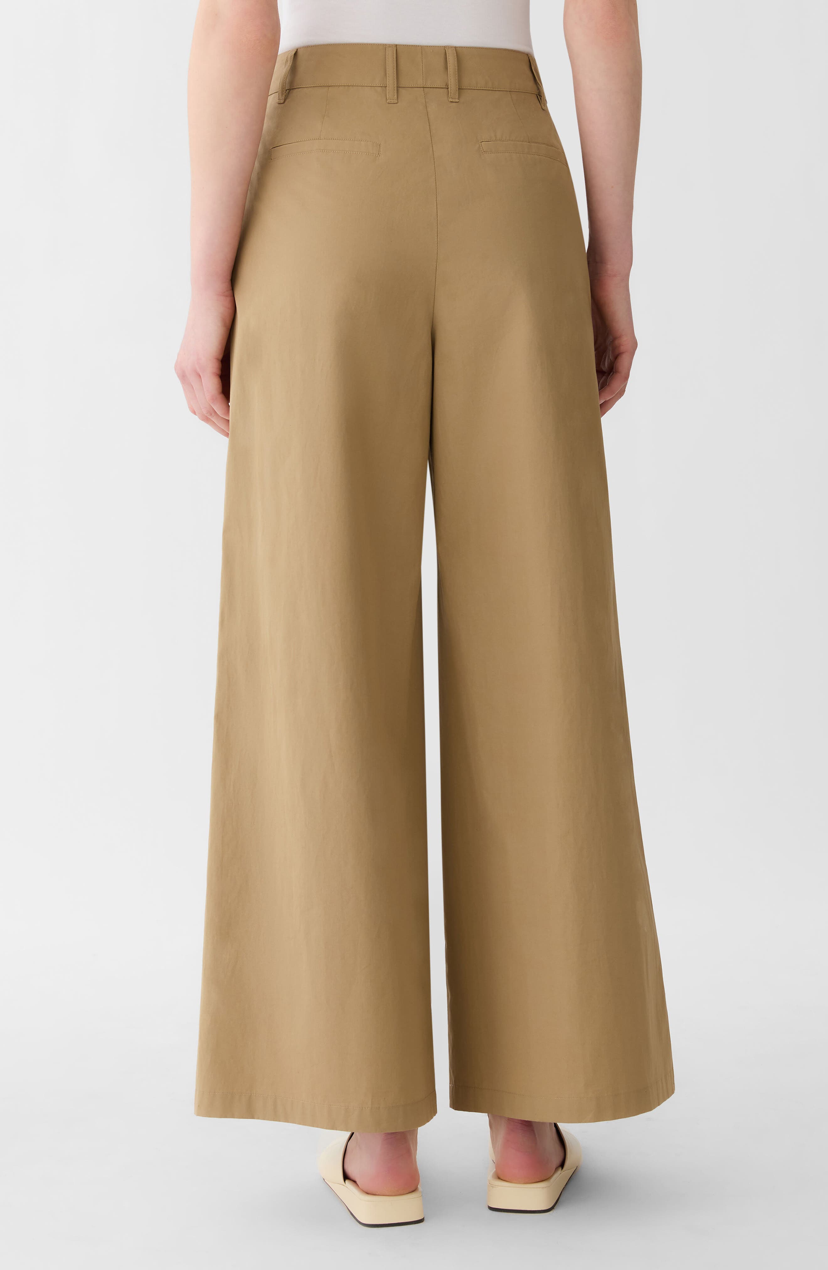 Park Pleated Organic Cotton Poplin Wide Leg Ankle Pants - image 2