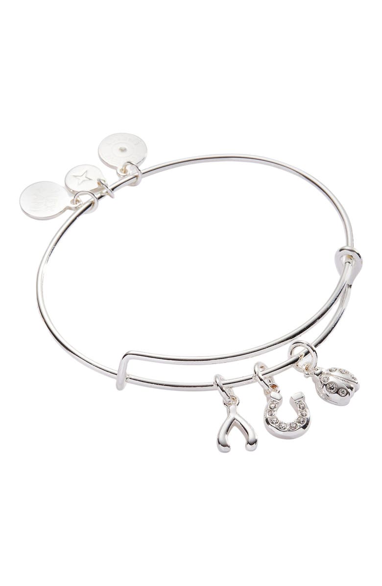 Alex and Ani Love and Luck Multi Charm Bangle Bracelet, Main, color, Silver