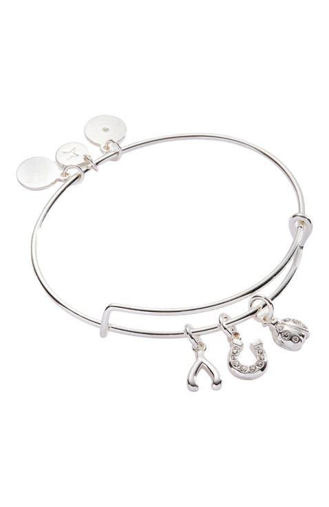 Love and Luck Multi Charm Bangle Bracelet