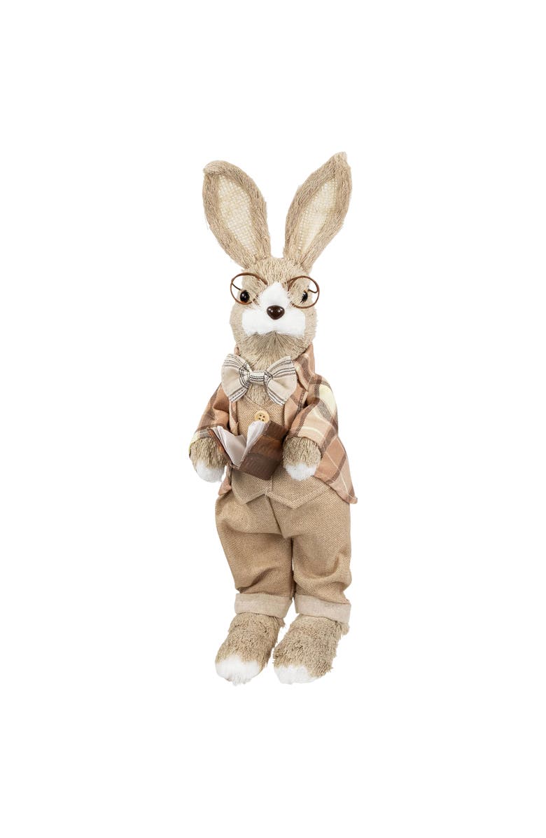 Northlight Rustic Boy Rabbit Easter Figure with Book - 16.25" - Beige, Main, color, Beige