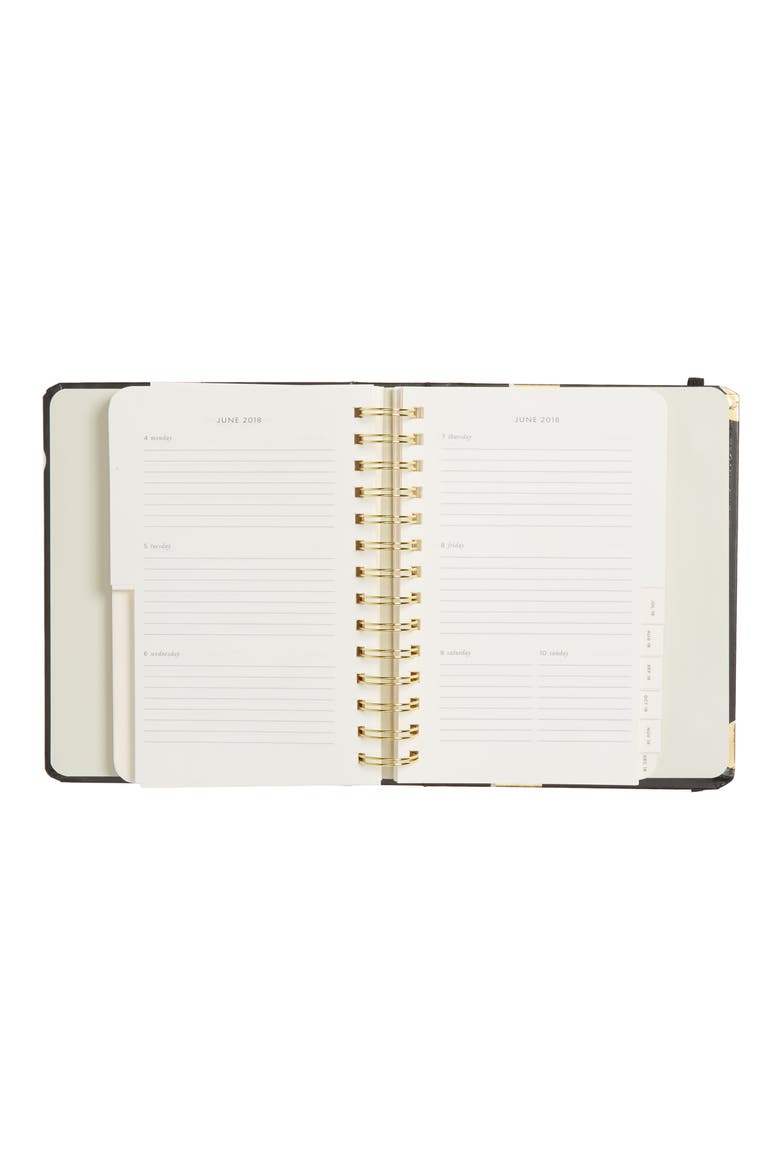 medium 17-month agenda, Alternate, color, SCATTER DOT