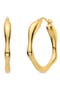 Assian Hexagon Hoop Earrings