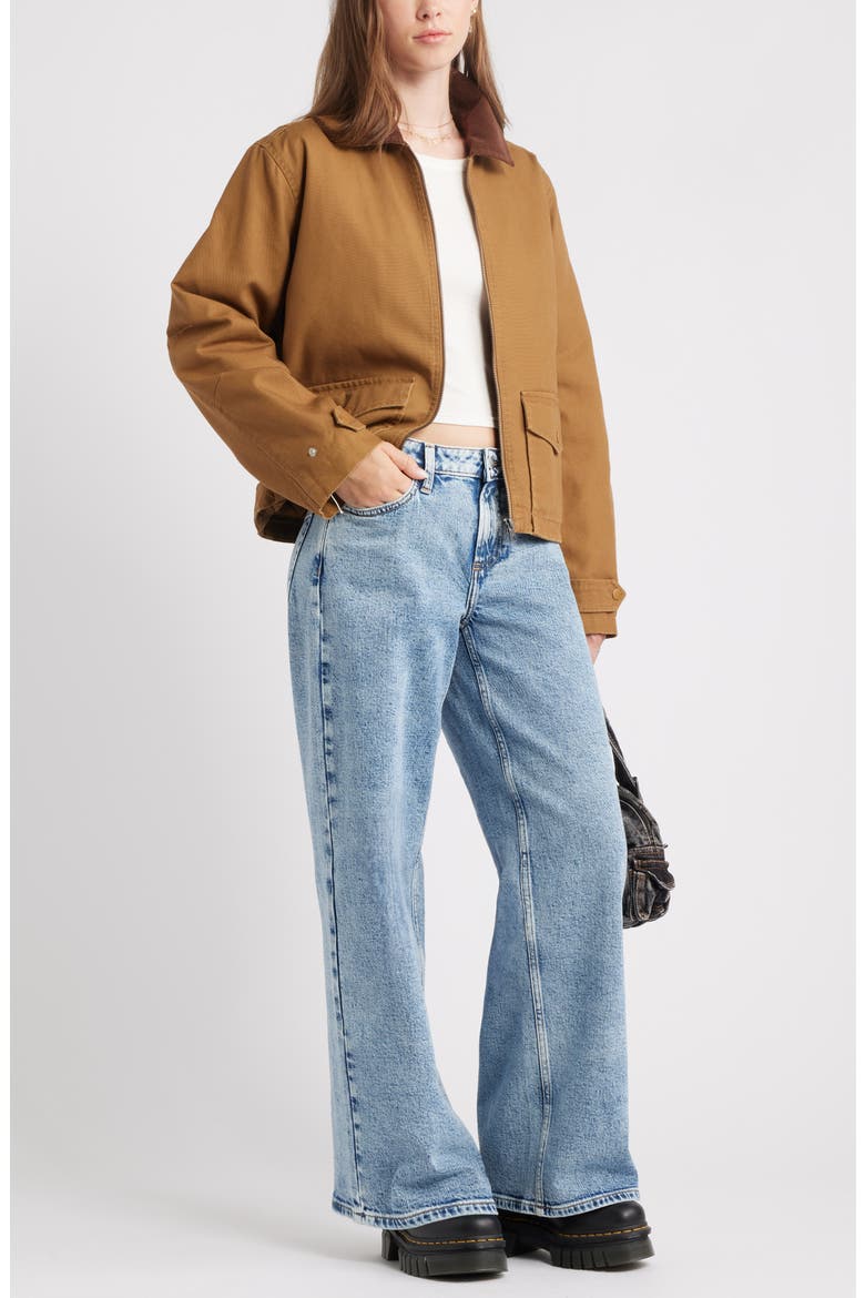 Cotton Canvas Barn Jacket, Alternate, color, TAUPE