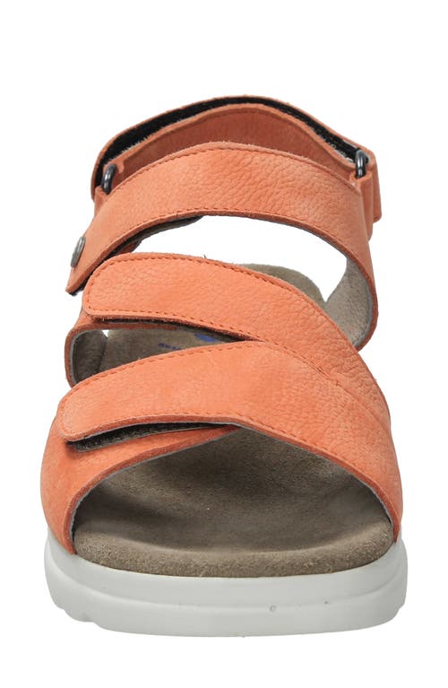 Wolky Ikaria Ankle Strap Platform Wedge Sandal In Light Orange Nubuck