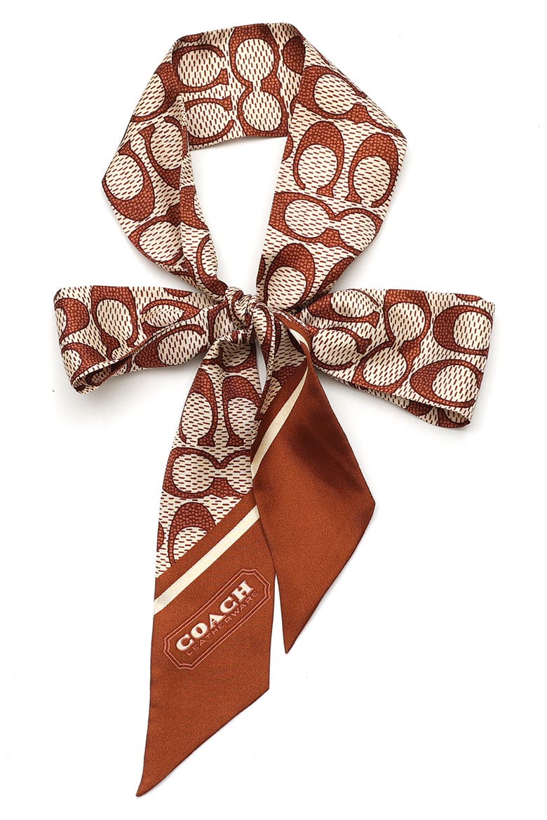 Textured Signature Print Silk Skinny Scarf, Alternate, color, PECAN