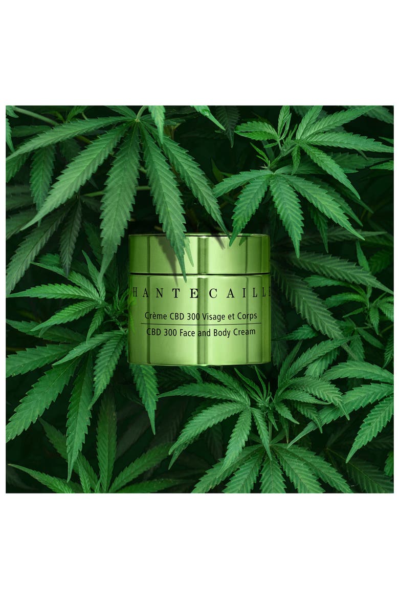 CBD 300 Face & Body Cream, Alternate, color, NO COLOR