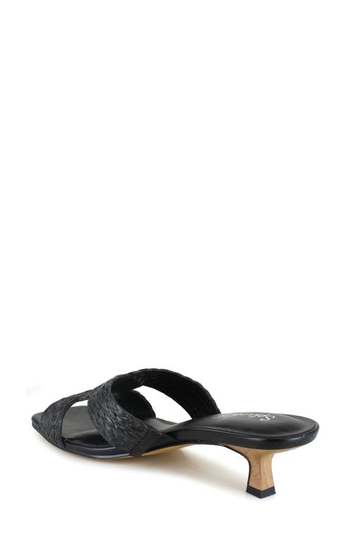 Splendid Hunter Kitten Heel Sandal In Black