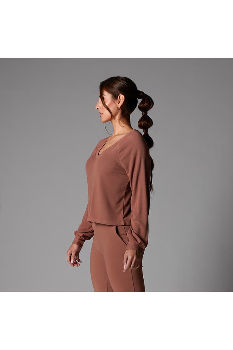 Rib Long Sleeve, Alternate, color, CLOVE