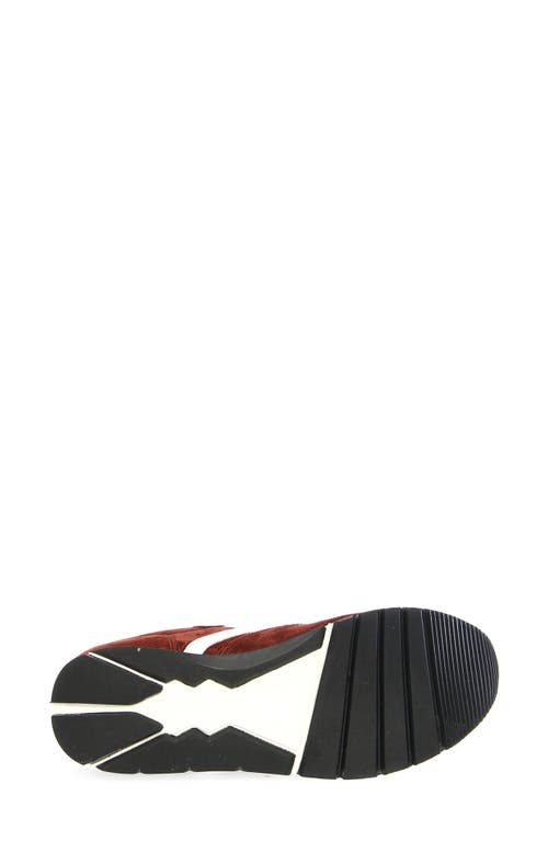 Voile Blanche Julia Sneaker In Burgundy