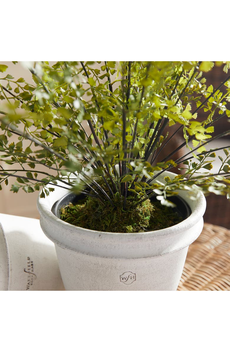 Napa Home & Garden Maidenhair Drop-In 30", Alternate, color, Green