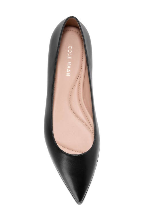 Cole Haan Grand Ambition 2.0 Ballet Flat In Black