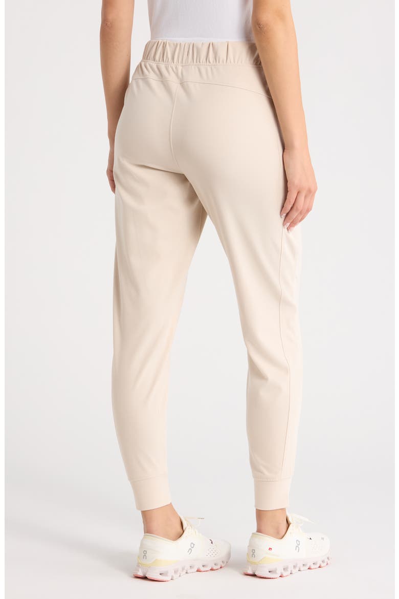 Lux Side Pocket Joggers, Alternate, color, GRAY MORN