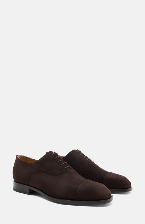 Scarosso Salvatore Oxfords