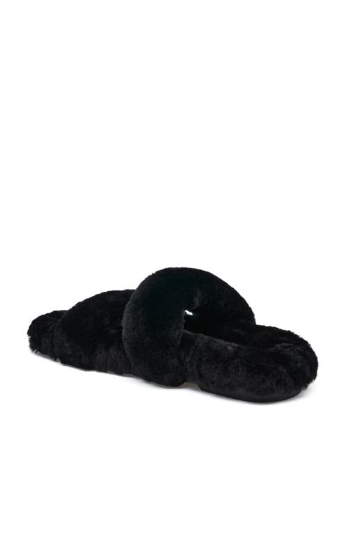 Grace Footwear Catania Sandal In Black