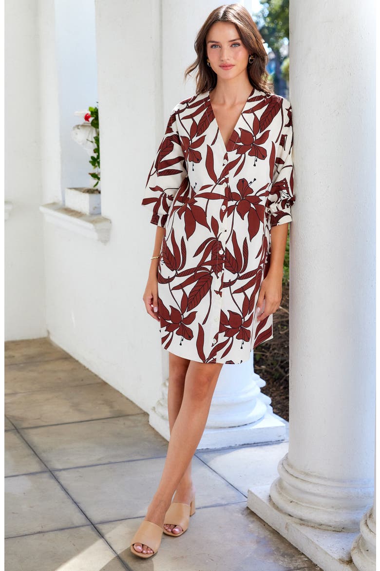 Lantern Sleeve Dress, Alternate, color, PRINT