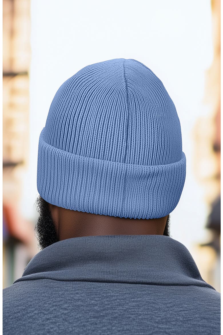 Pigeon Beanie Cap, Alternate, color, Periwinkle