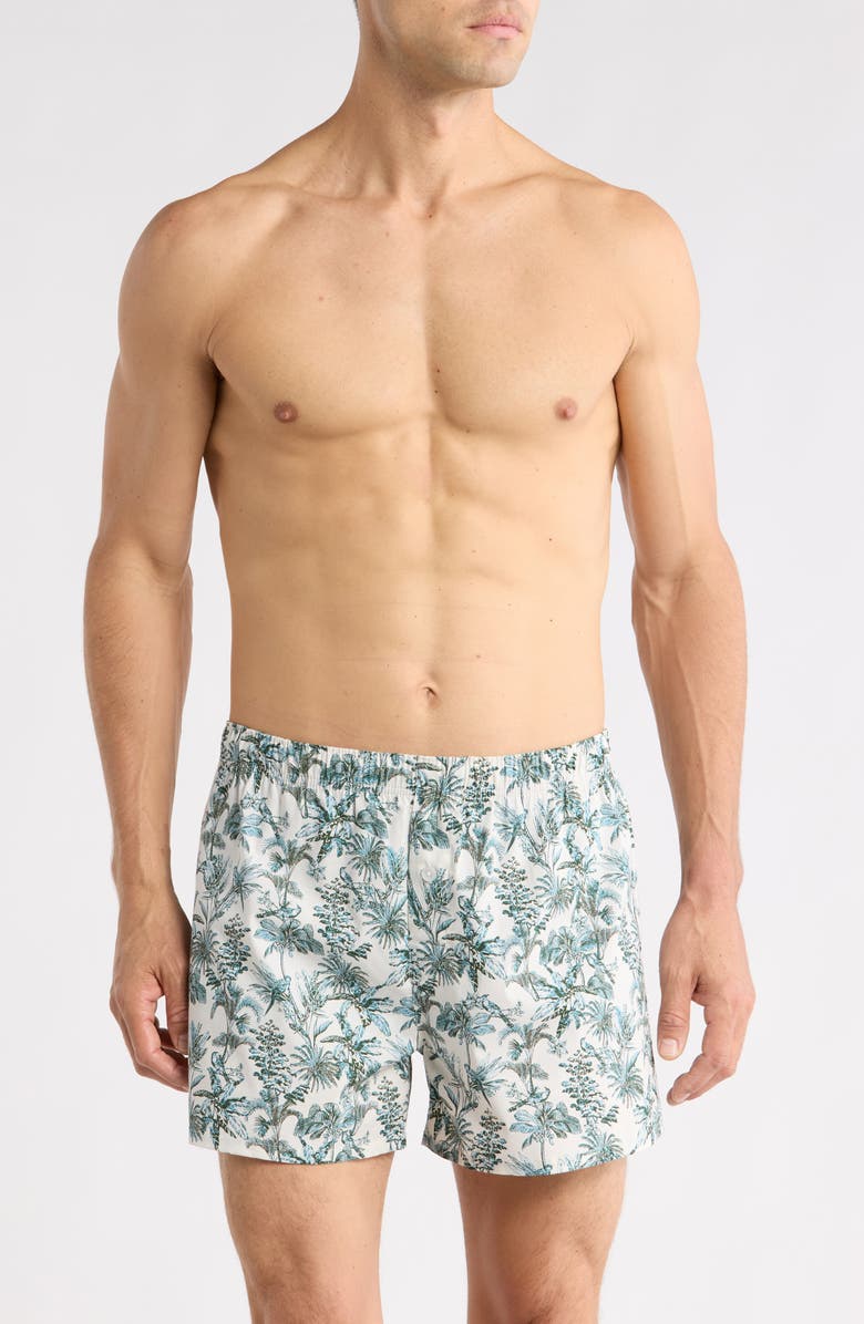 Nordstrom Modern Woven Stretch Cotton Boxers, Main, color, White- Green Tropical Toile