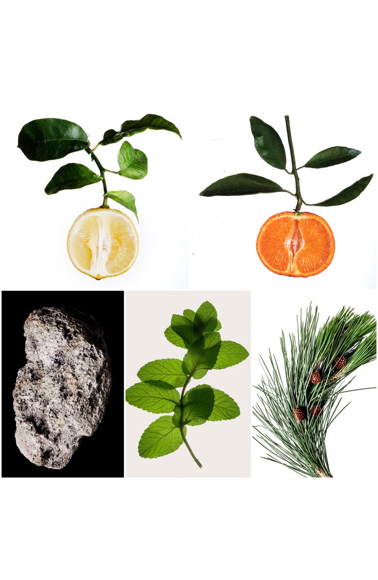 Penhaligon's The Ingénue Cousin Flora Eau de Parfum, Alternate, color,