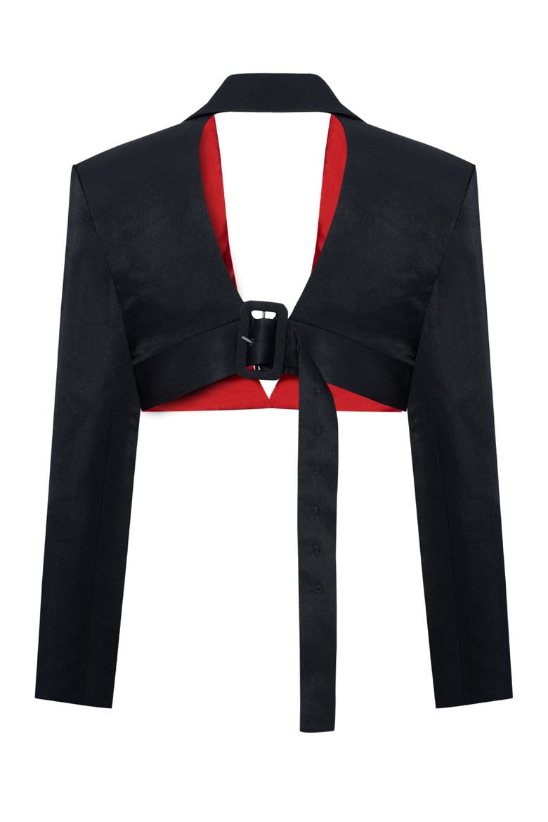 Linen Blend Crop Shiny Woven Jacket, Alternate, color, BLACK