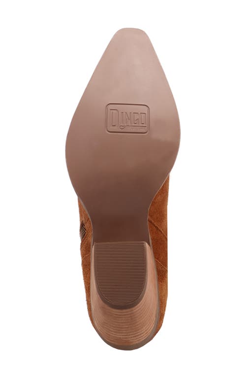 Dingo Little Star Western Boot In Brown