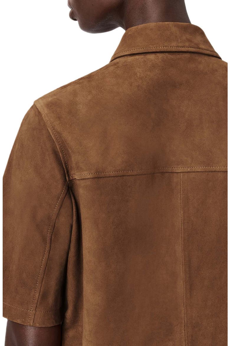 Rock Western Leather Mini Shirtdress, Alternate, color, SUGAR BROWN