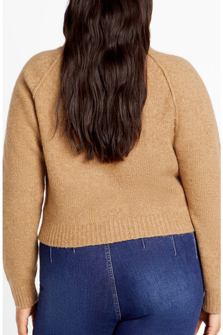 Demi Turtleneck Sweater, Alternate, color, SAND