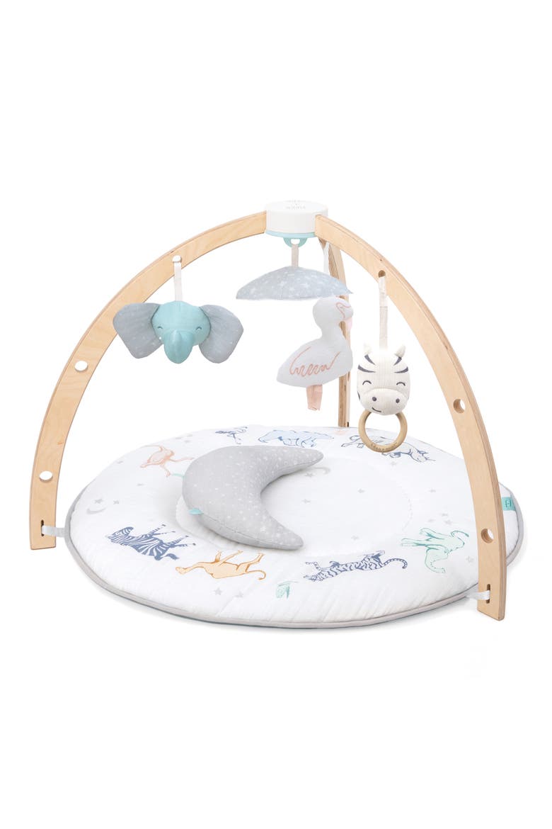 Play & Discover Baby Activity Gym, Main, color, RISING START