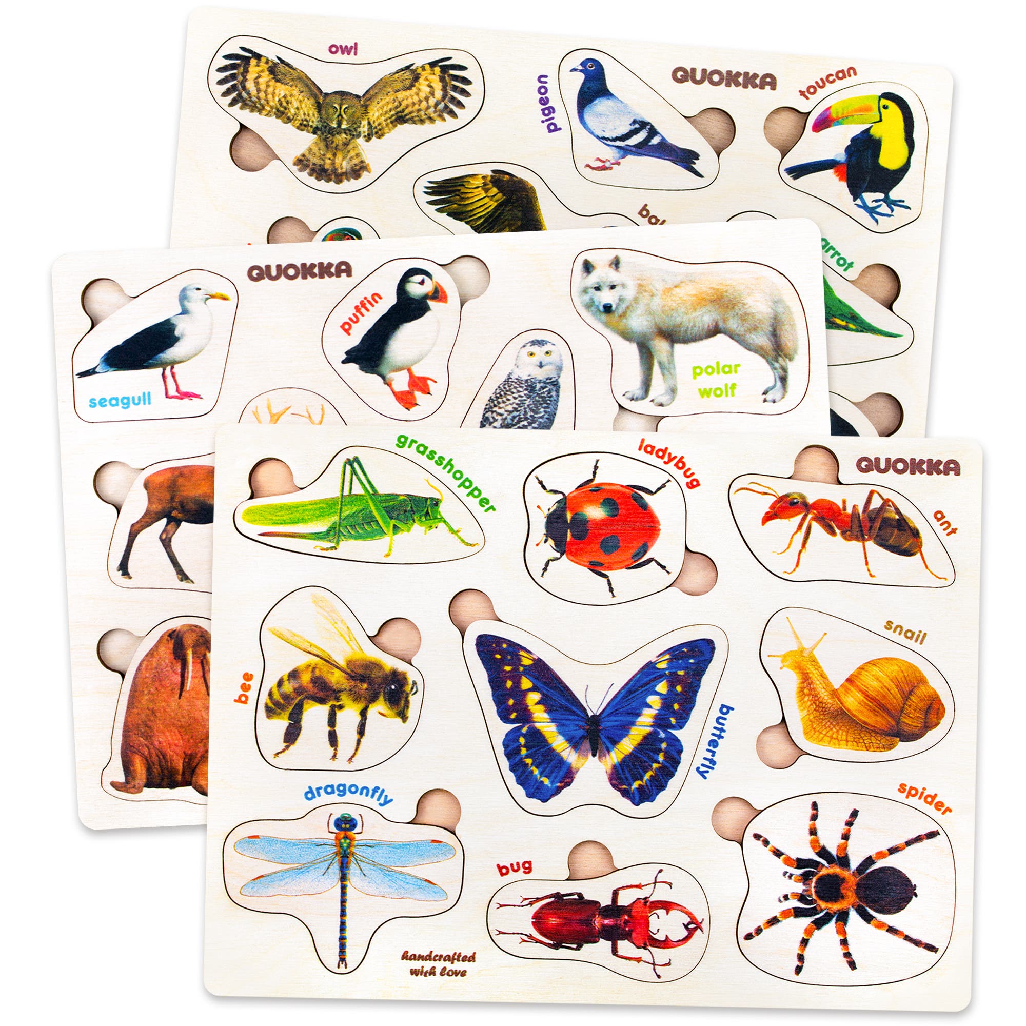 Insects, arctic animals, birds