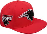 PRO STANDARD Men's Pro Standard  Red Clark Atlanta University Panthers Evergreen Mascot Snapback Hat