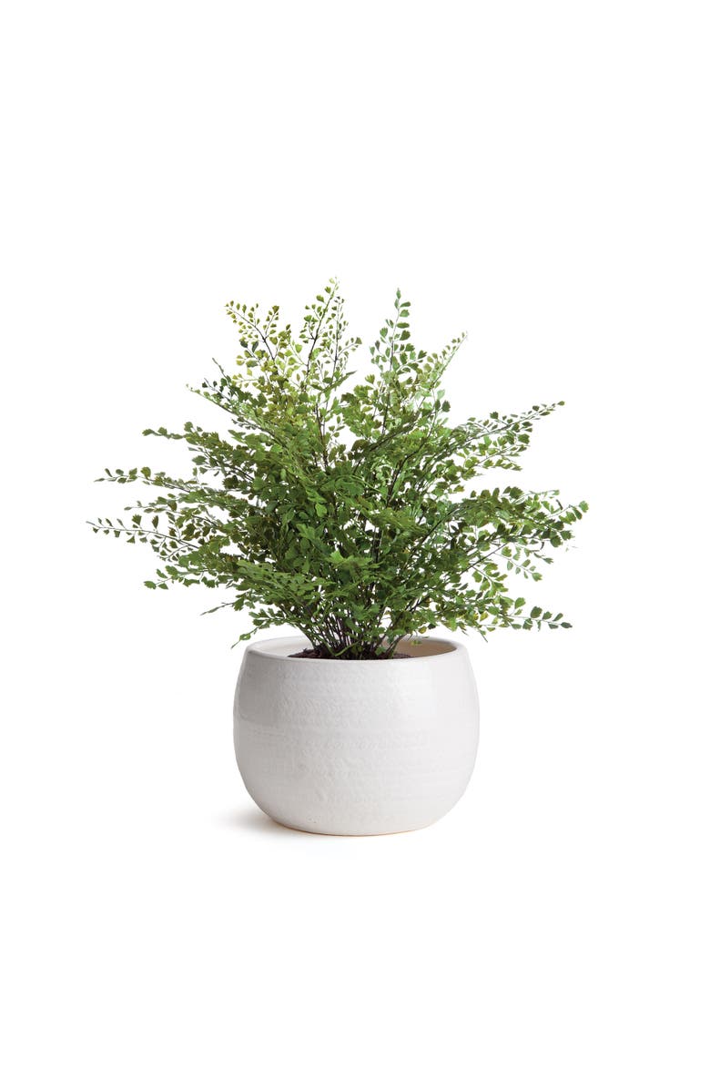 Napa Home & Garden Kayla Pot, Alternate, color, White
