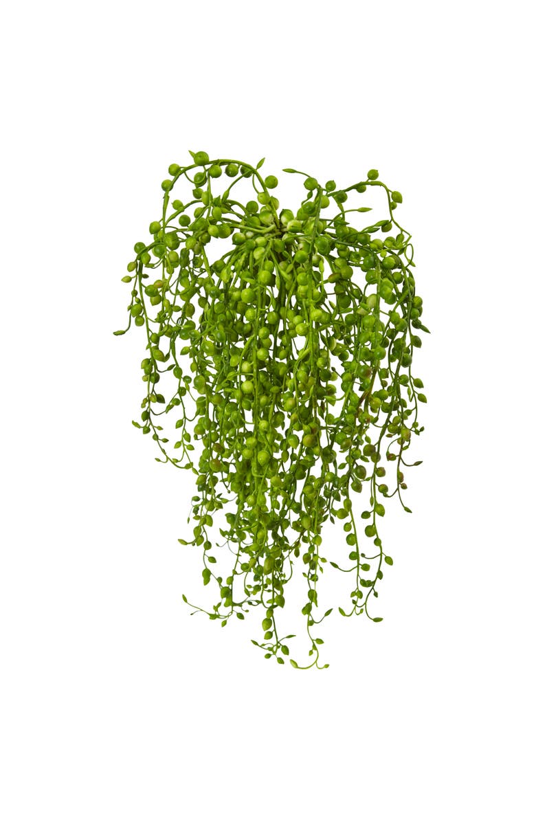 NEARLY NATURAL Senecio Artificial Succulent Plant, Set of 3, Main, color, Green