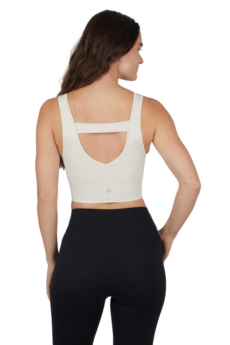 2-Pack Bianca Stone Wash Seamless Tank, Alternate, color, WEATHERVANE/ CRYSTAL GRAY