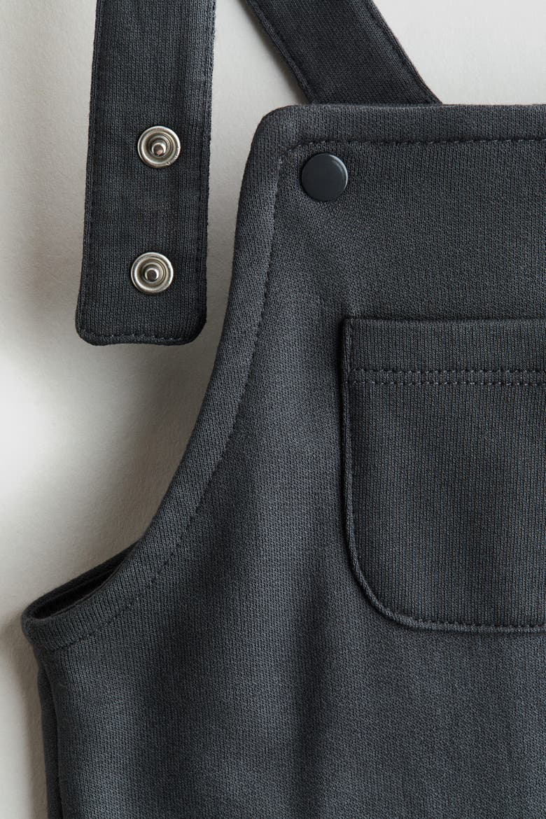 2-Piece Overall And Shirt Set, Alternate, color, Dark gray/dinosaurs
