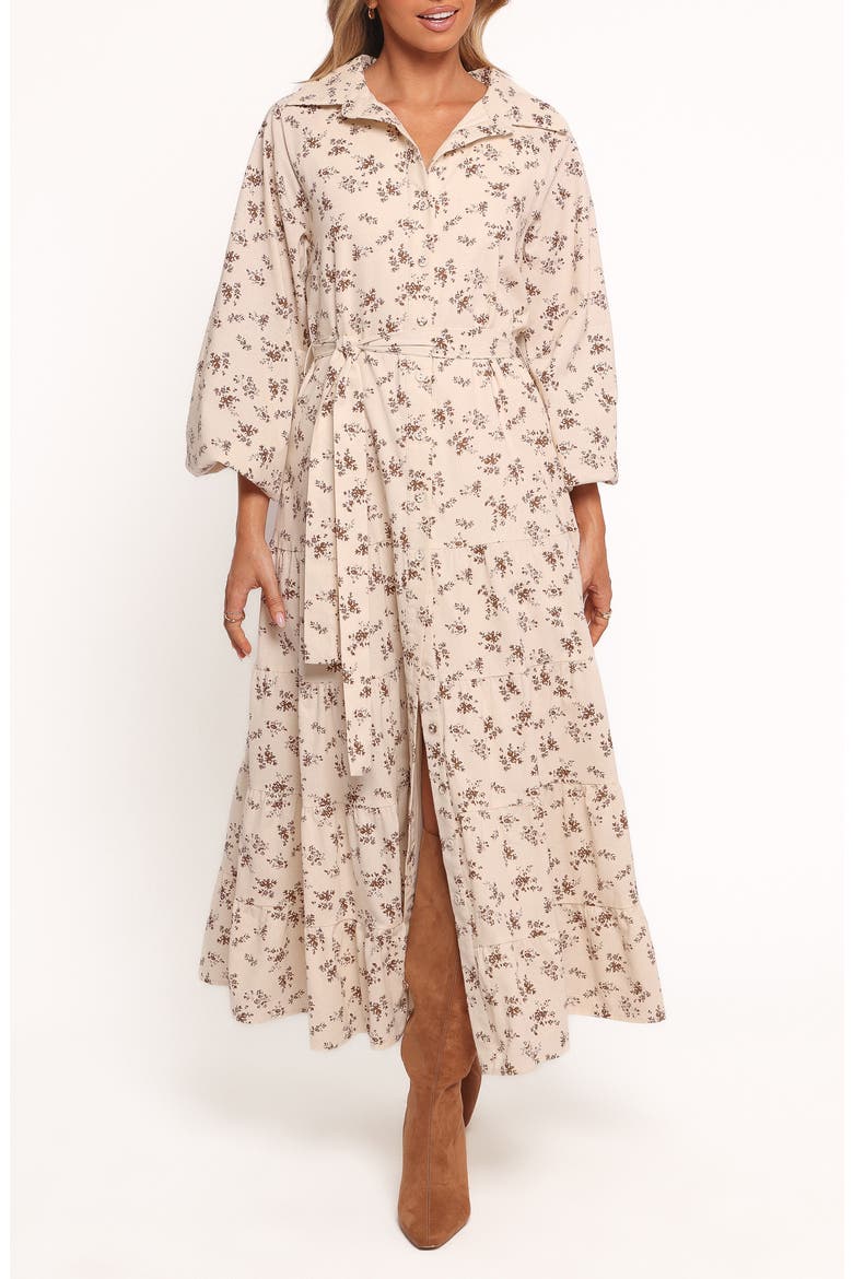 Lincoln Tie Waist Long Sleeve Maxi Dress, Main, color, FLORAL