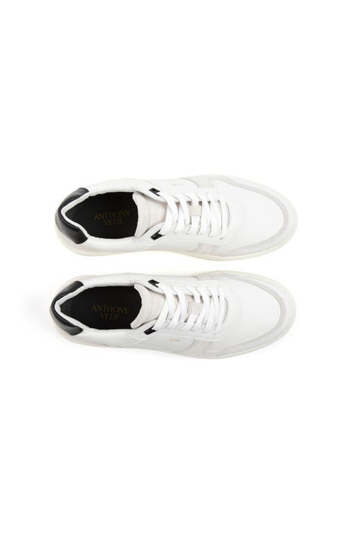 Anthony Veer Acton Court Sneaker In Multi
