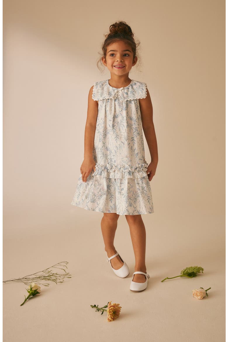 Floral Sleeveless Scallop Collar Cotton Dress, Alternate, color, WHITE/ BLUE