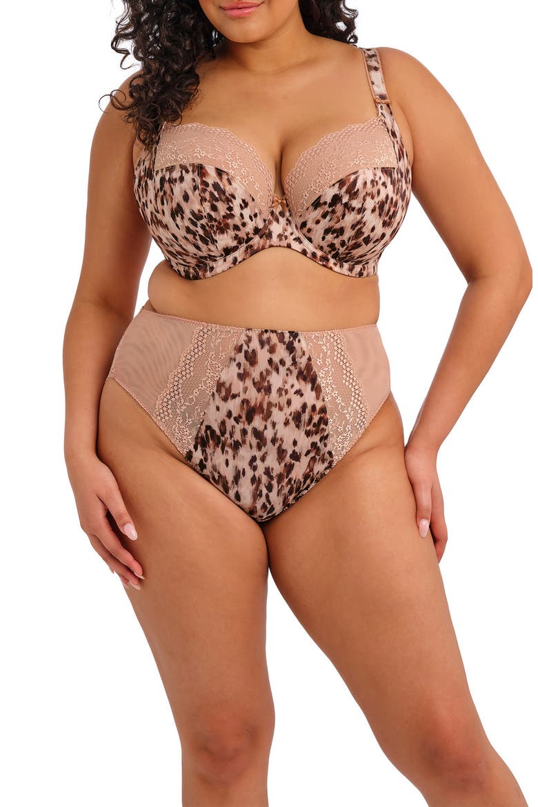 Lucie High Leg Briefs, Alternate, color, WILDCAT