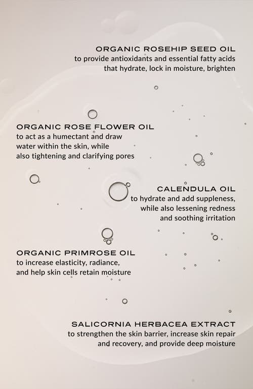 Wylys The Illuminate + Sculpt Skin Care Set