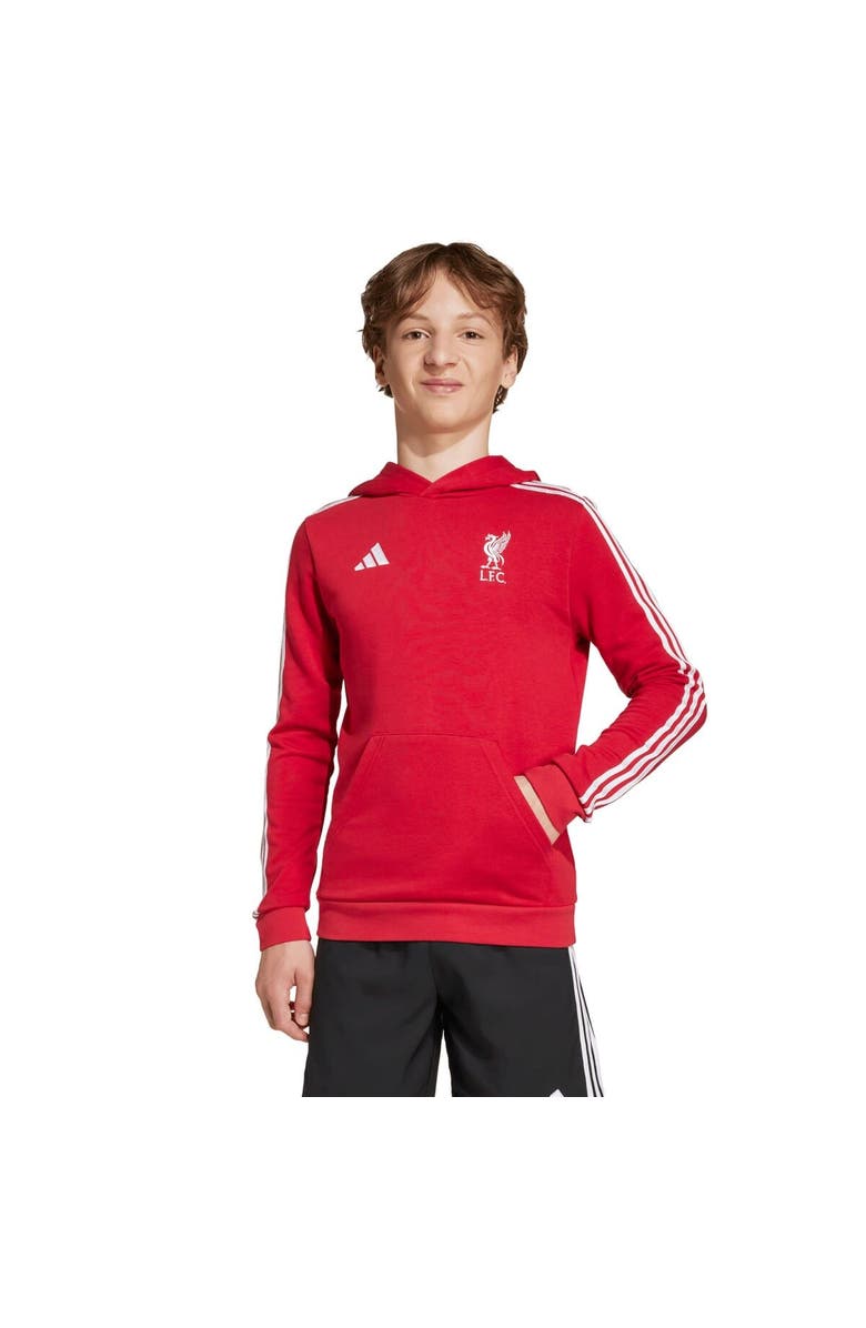 adidas Youth adidas Red Liverpool DNA Hoodie, Alternate, color, Red
