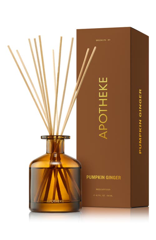 APOTHEKE Pumpkin Ginger Reed Diffuser in Brown 