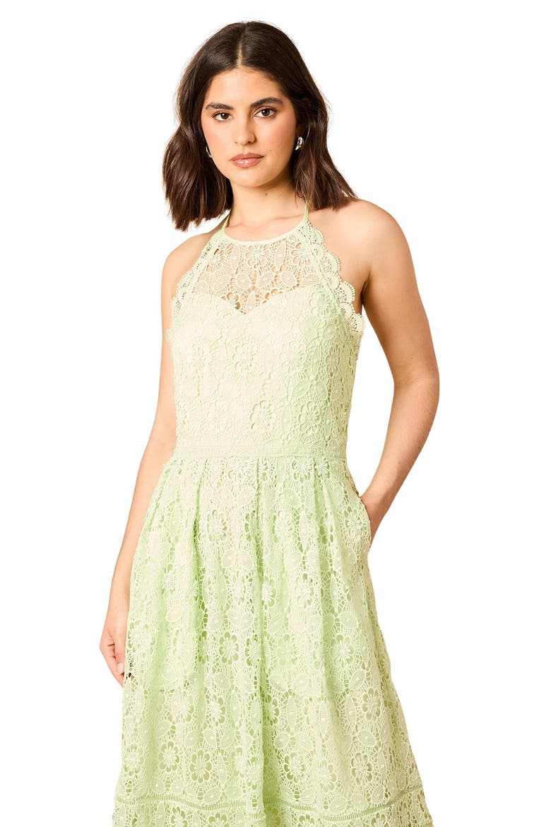 Lace Detail Halterneck Midi Dress, Alternate, color, Sage